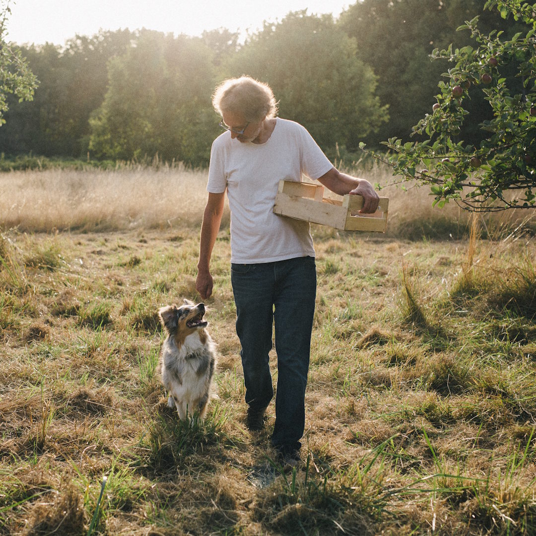 Barriques française